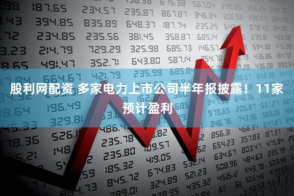 股利网配资 多家电力上市公司半年报披露！11家预计盈利