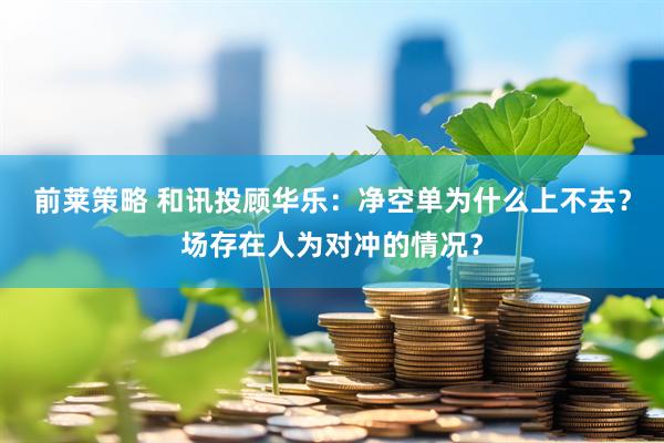 前莱策略 和讯投顾华乐：净空单为什么上不去？场存在人为对冲的情况？