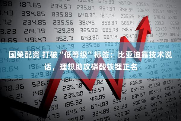 国榮配资 打破“低等级”标签：比亚迪靠技术说话，理想助攻磷酸铁锂正名