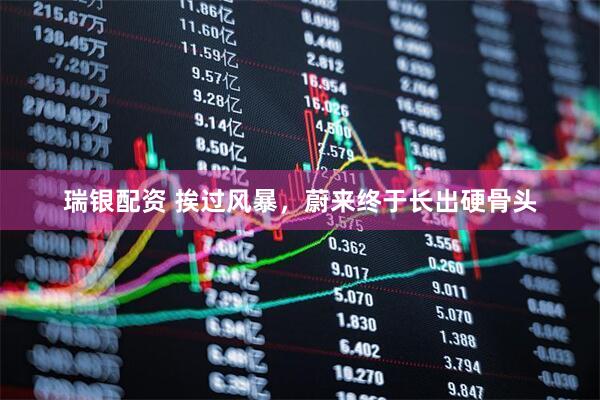 瑞银配资 挨过风暴，蔚来终于长出硬骨头